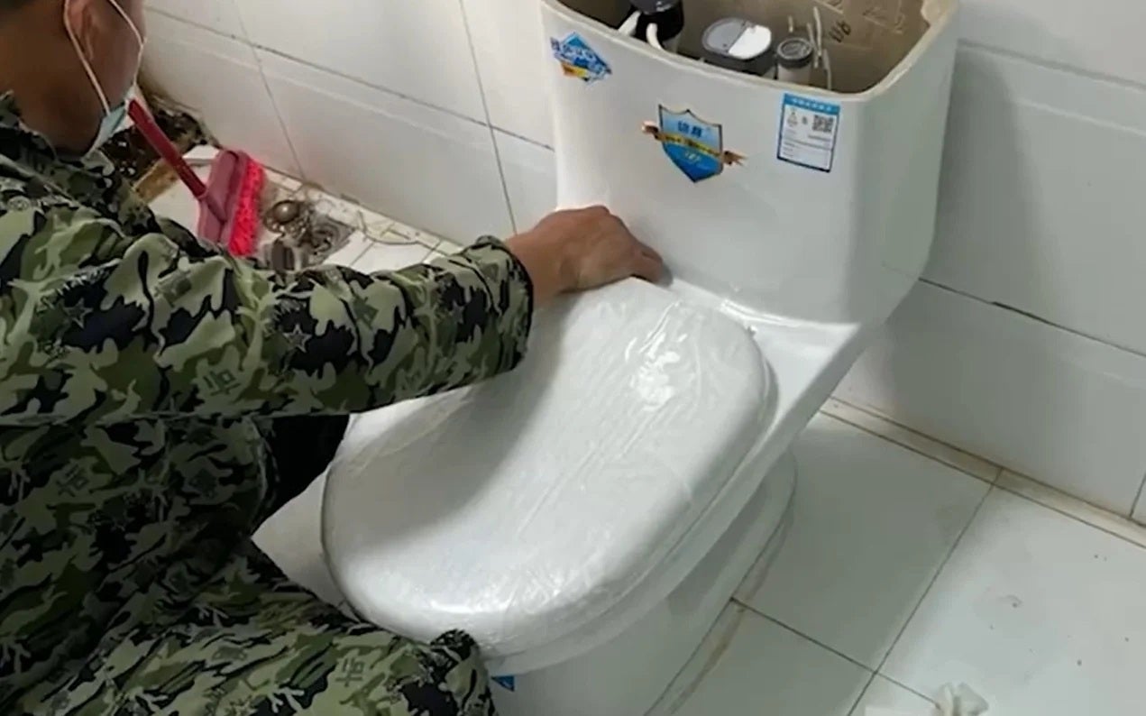 seated toilet squat toilet 5