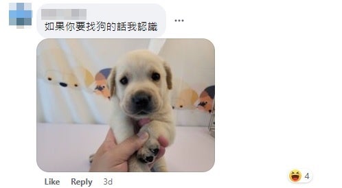 C Find Dog They Know