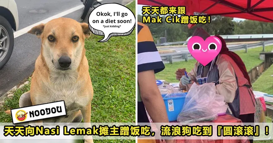Dog Nasi Lemak Cyberjaya Featured