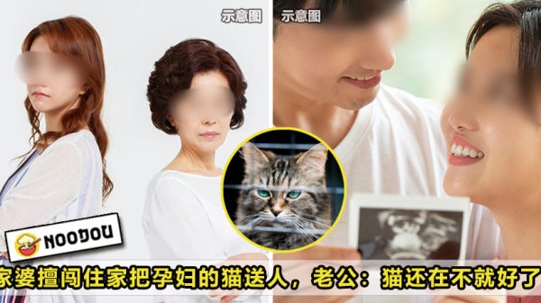 Mother In Law Give Cat Away Pregnant Feature Image 1