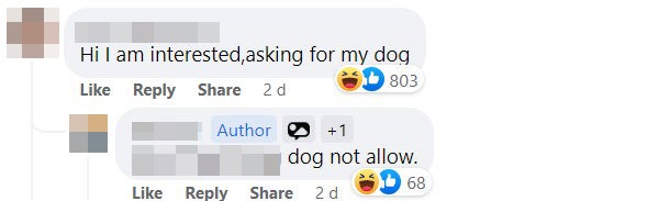 comment dog