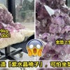 玉石公司打造紫水晶椅子，可怕坐垫吓坏网友！New New