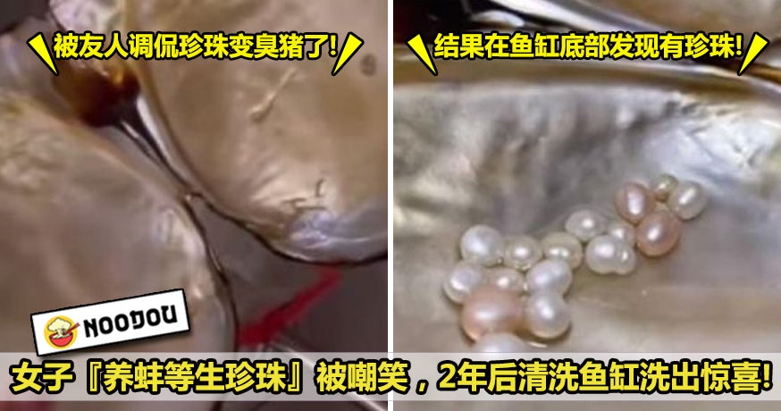 蚌壳 copy