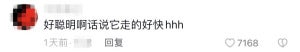 留言5 3