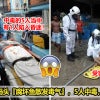 疑腐烂鱼类散发有毒气体，5名厂工吸入后集体中毒！ 2