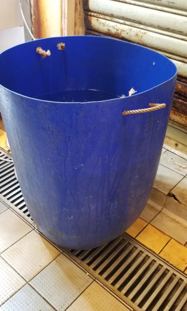 腐烂鱼类塑料桶
