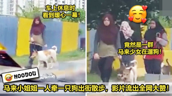马来小姐姐带狗狗出街散步，画面太暖网民感动到不行！ 2