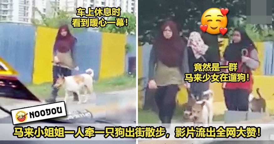 马来小姐姐带狗狗出街散步，画面太暖网民感动到不行！ 2