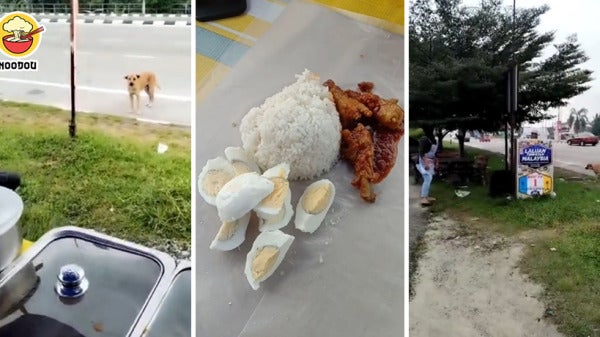 Malay Stall Feed Stray Dog Feature Image
