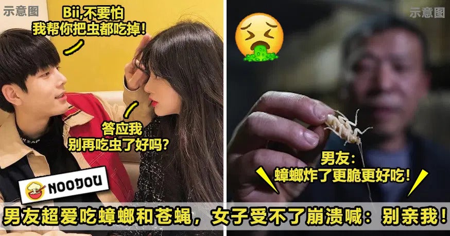 男友超爱词蟑螂和苍蝇，女子崩溃