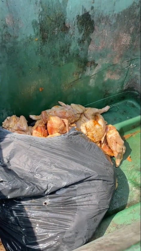 鸡肉被丢进垃圾桶销毁 e1681880006389