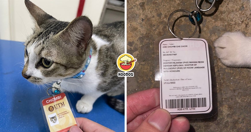 Cat PhD in Meowing UTM Skudai Feature Image