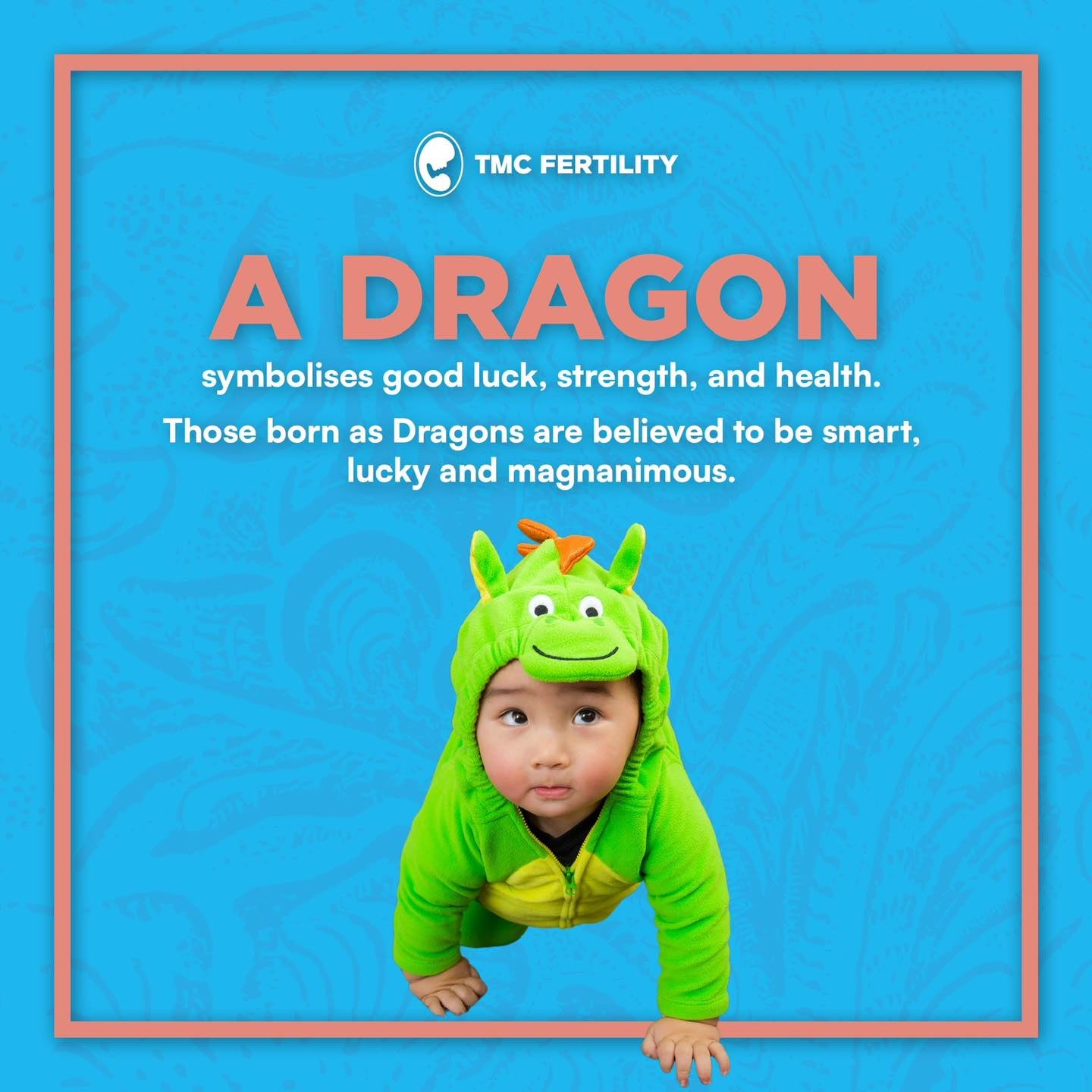 TMC fertility dragon baby 2