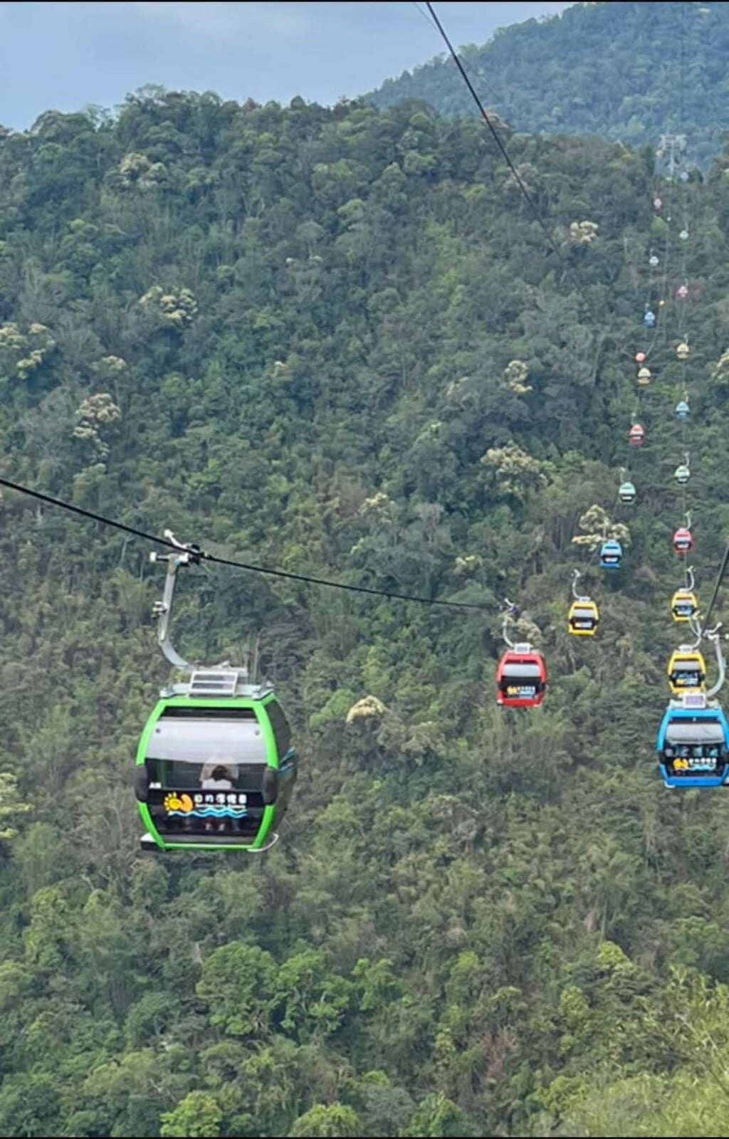 couple sx in transparent glass cable car taiwan 2 scaled