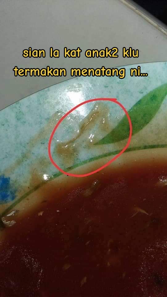 woman worms in sardine can tin 6