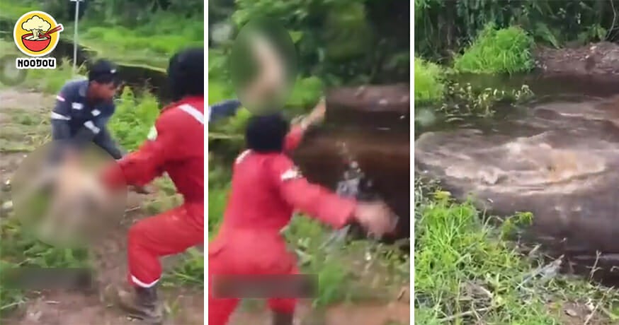 3 Men Throw Dog Feed Crocodile Feature Image