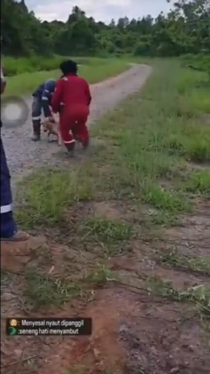 SS 1 3 men throw dog into river feed crocodile