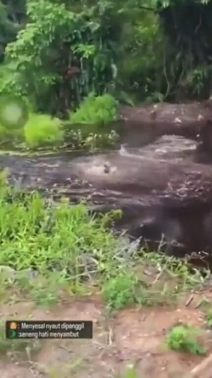 SS 6 3 men throw dog into river feed crocodile