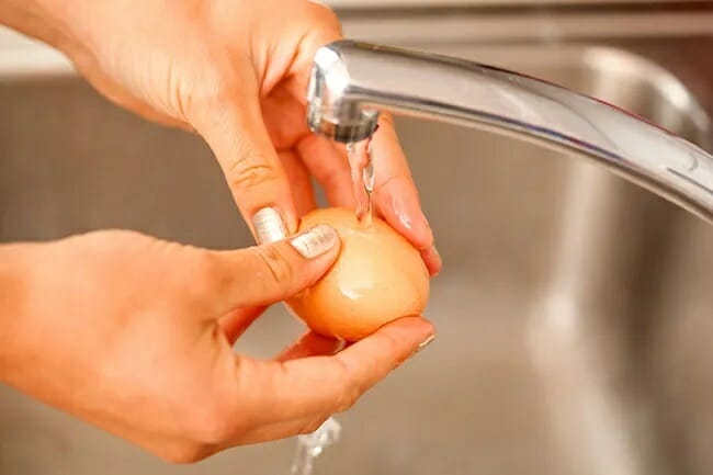 水洗鸡蛋