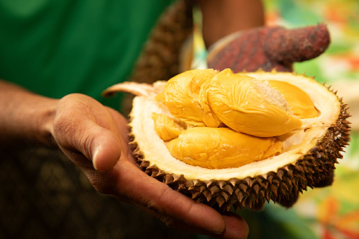 Guests can also purchase fresh durians to enjoy at home