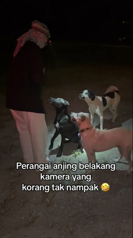 SS 6 穆斯林马来女子救狗志愿者喂养流浪狗浪浪
