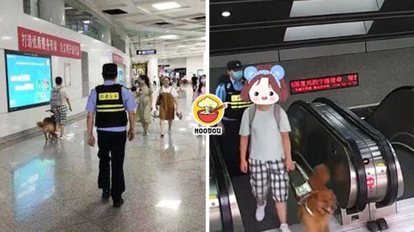 Police Follow Blind Woman 400 Days Feature Image