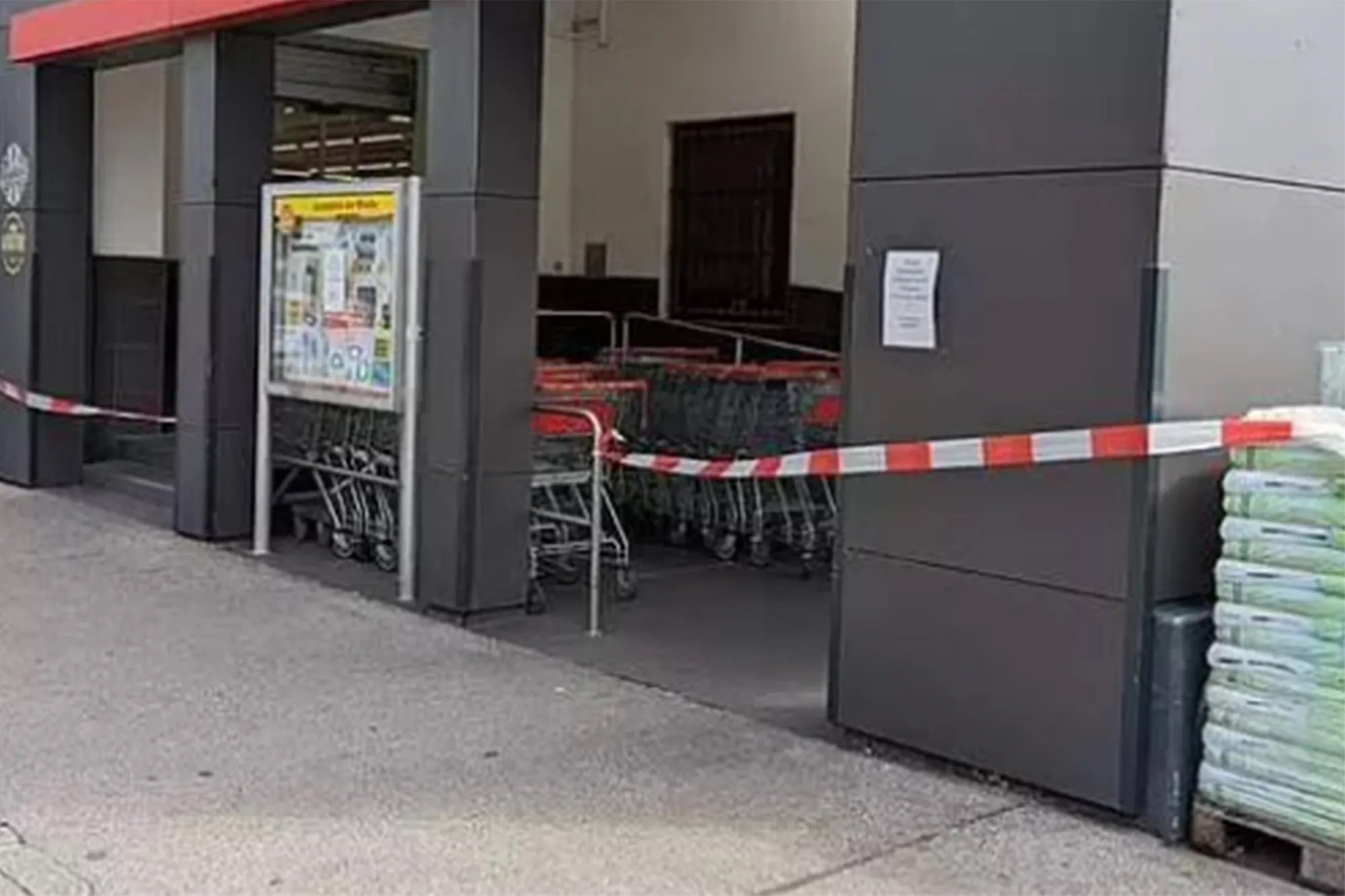 austria supermarket closed down after brazillian wandering spider is found 2