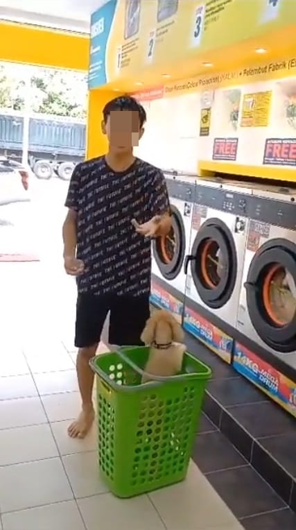 SS 3 chinese boy brings pet dog into laundry dobi scolded by malay man only cats allowed