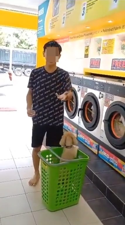 Ss 3 Chinese Boy Brings Pet Dog Into Laundry Dobi Scolded By Malay Man Only Cats Allowed