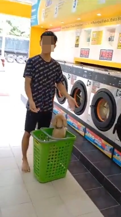 SS 4 chinese boy brings pet dog into laundry dobi scolded by malay man only cats allowed