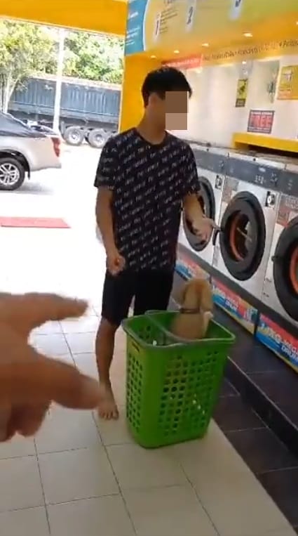 SS 5 chinese boy brings pet dog into laundry dobi scolded by malay man only cats allowed