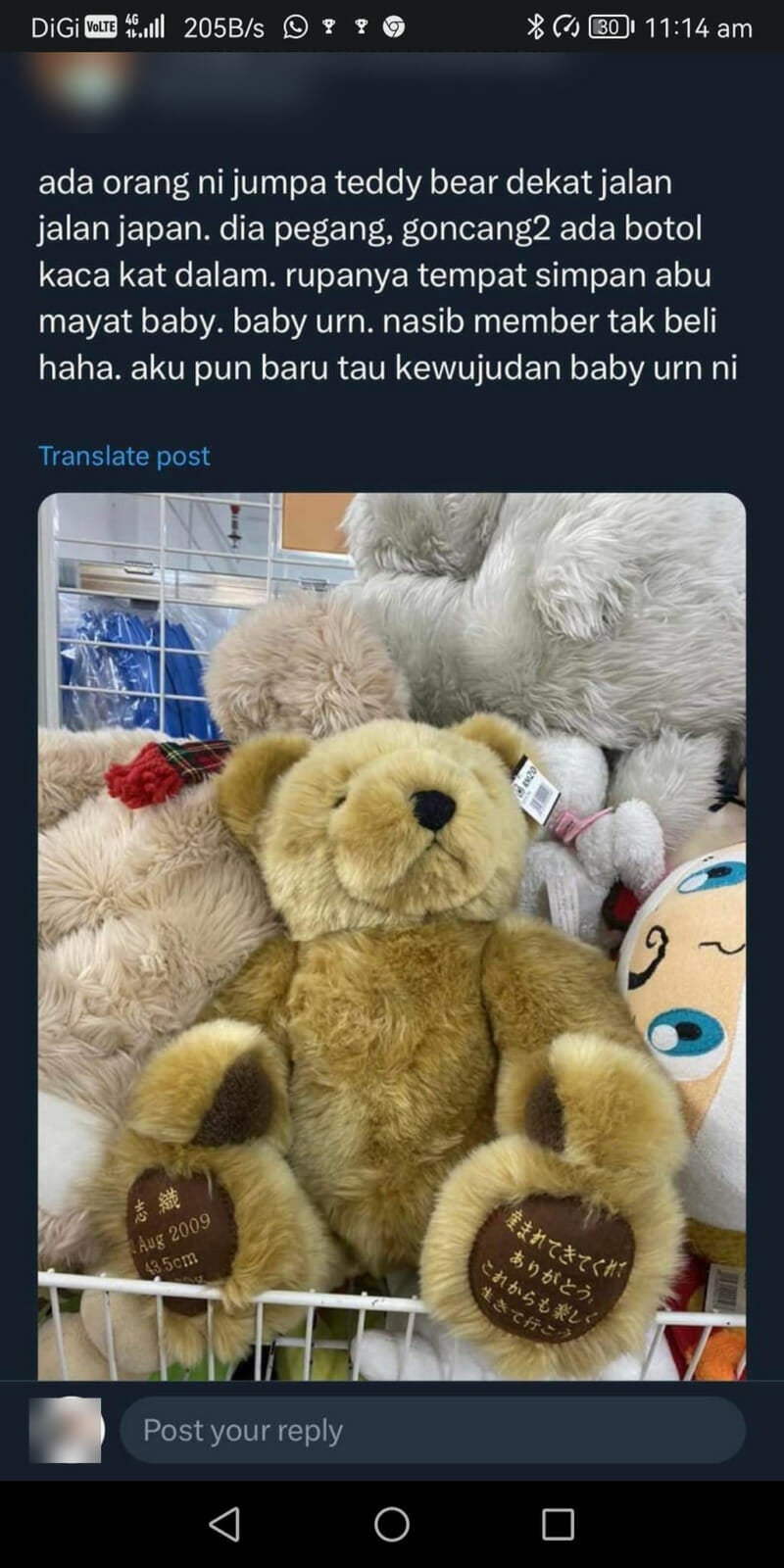 bear mati