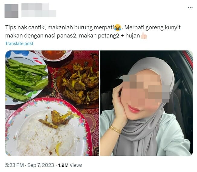 eat pigeon as beauty tips twitter x post