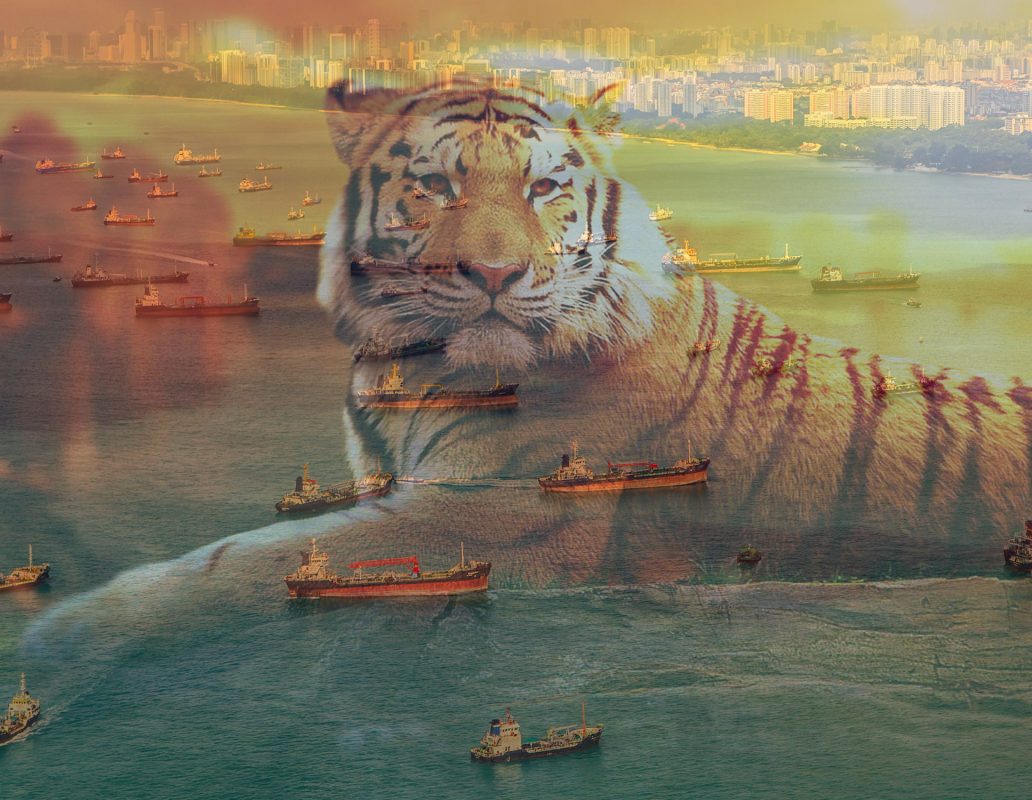 亚洲之虎