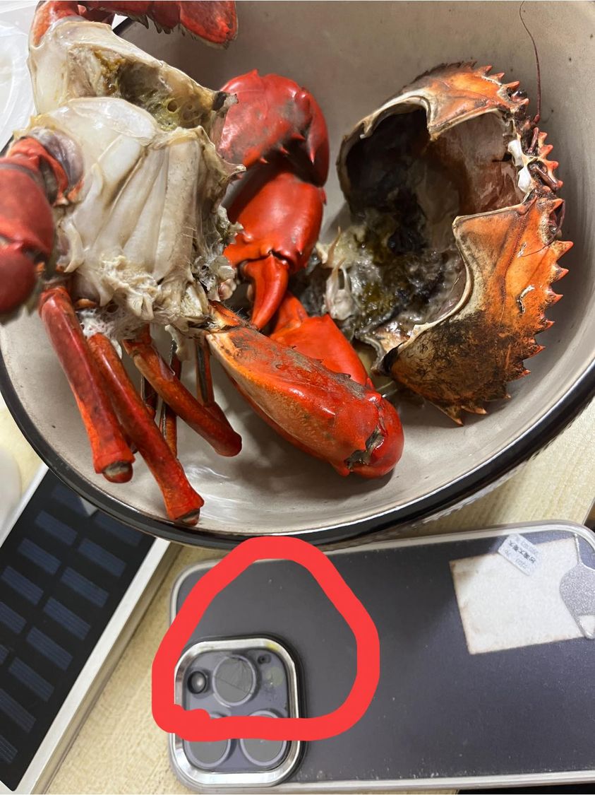 吃螃蟹毁iPhone