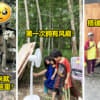 大马一家12口挤破屋生活窘迫