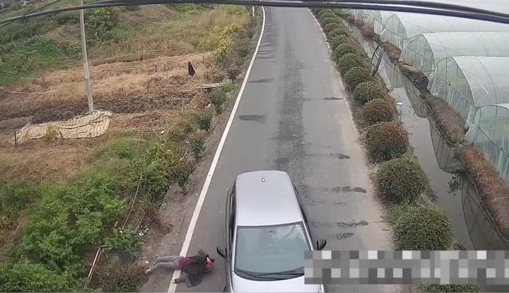 2 Son See Phone While Driving Hits Mum On Scooter 5