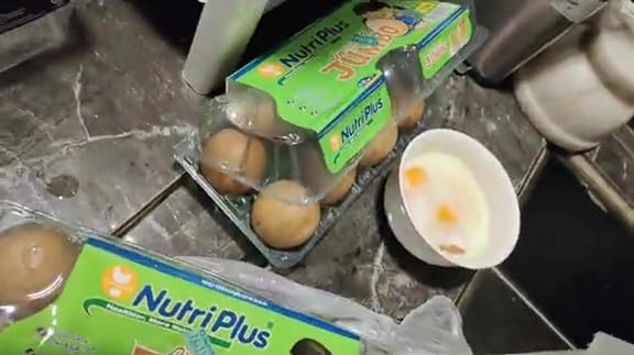 Ss 7 Eggs Left In Car Half Boiled Cracking