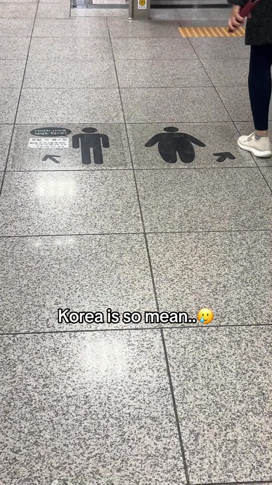 korea train station signs fat shamed encourage commuters take stairs instead of escalator 1