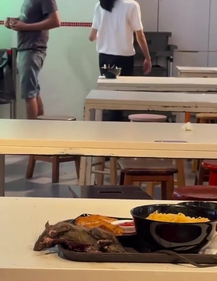 rat fell on food tray in food court tangs market singapore 2