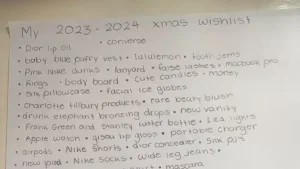 2 People left open mouthed after woman shares 13 year olds wild Christmas list