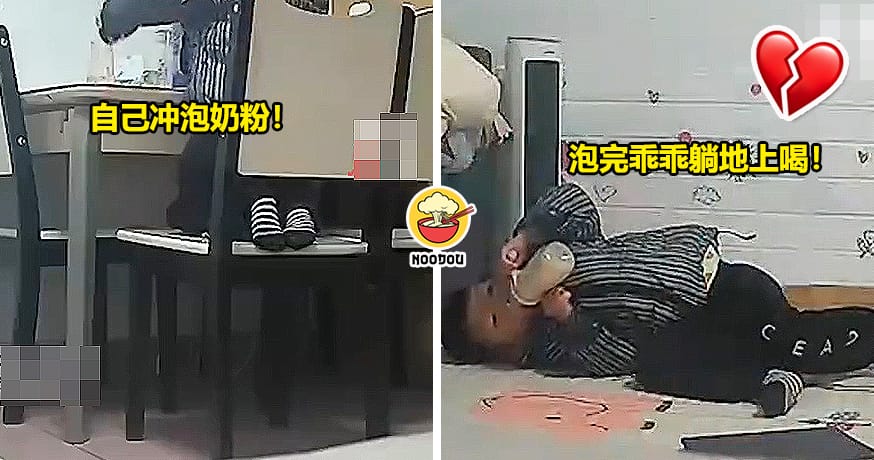 3岁男童自己冲泡牛奶全网心疼！