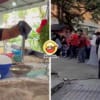 Cendol Stall RM10k A Day Feature Image