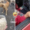 Malay Give Rm100 Feed Stray Dogs Feature Image