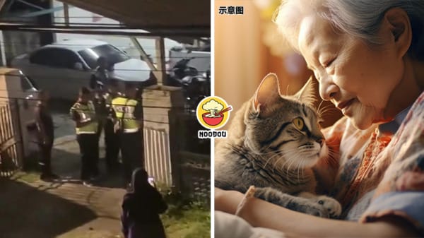 Woman Died With Cat Feature Image