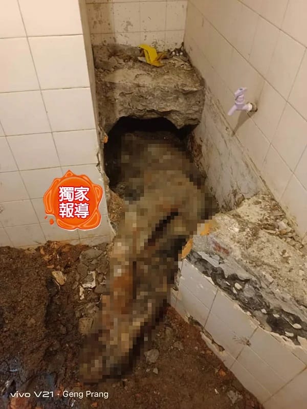 hide female body in cement toilet 3