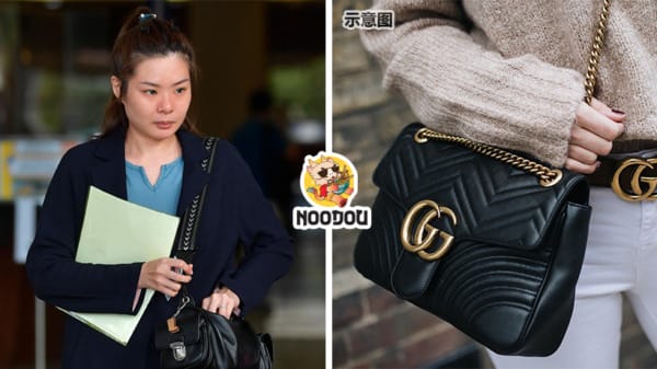 65 Fake Gucci Bag Fined Feature Image