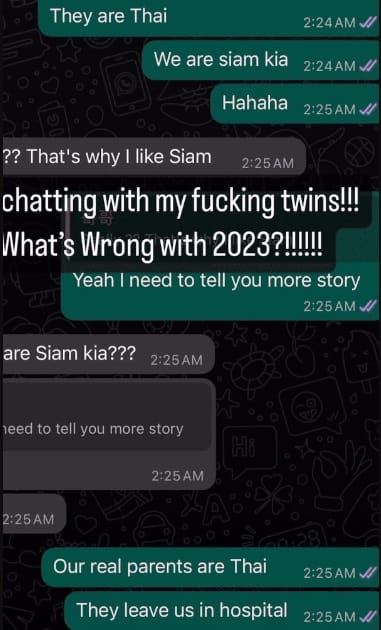 chat with separated twins