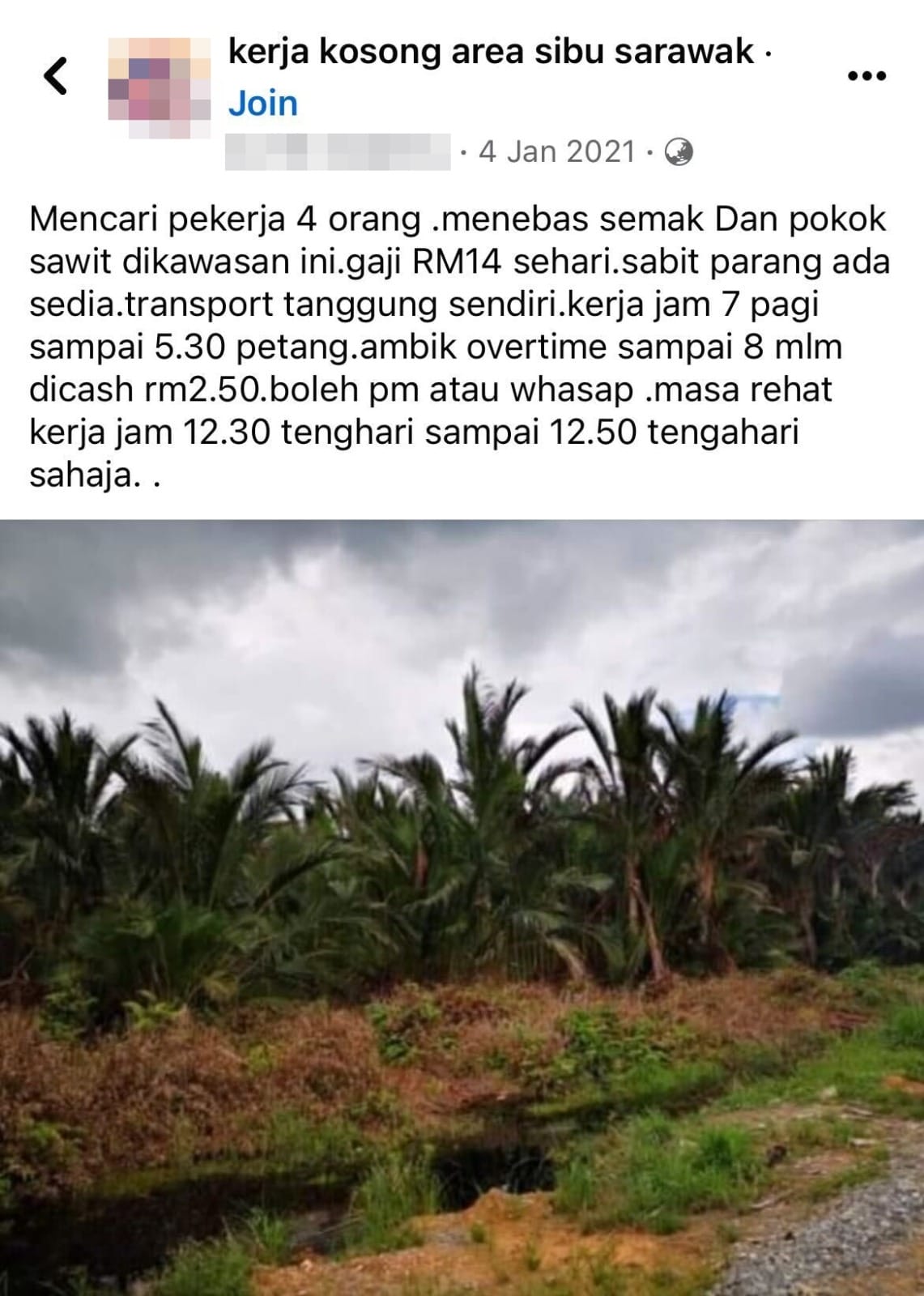 kelapa sawit pekerja rm14 sehari 1