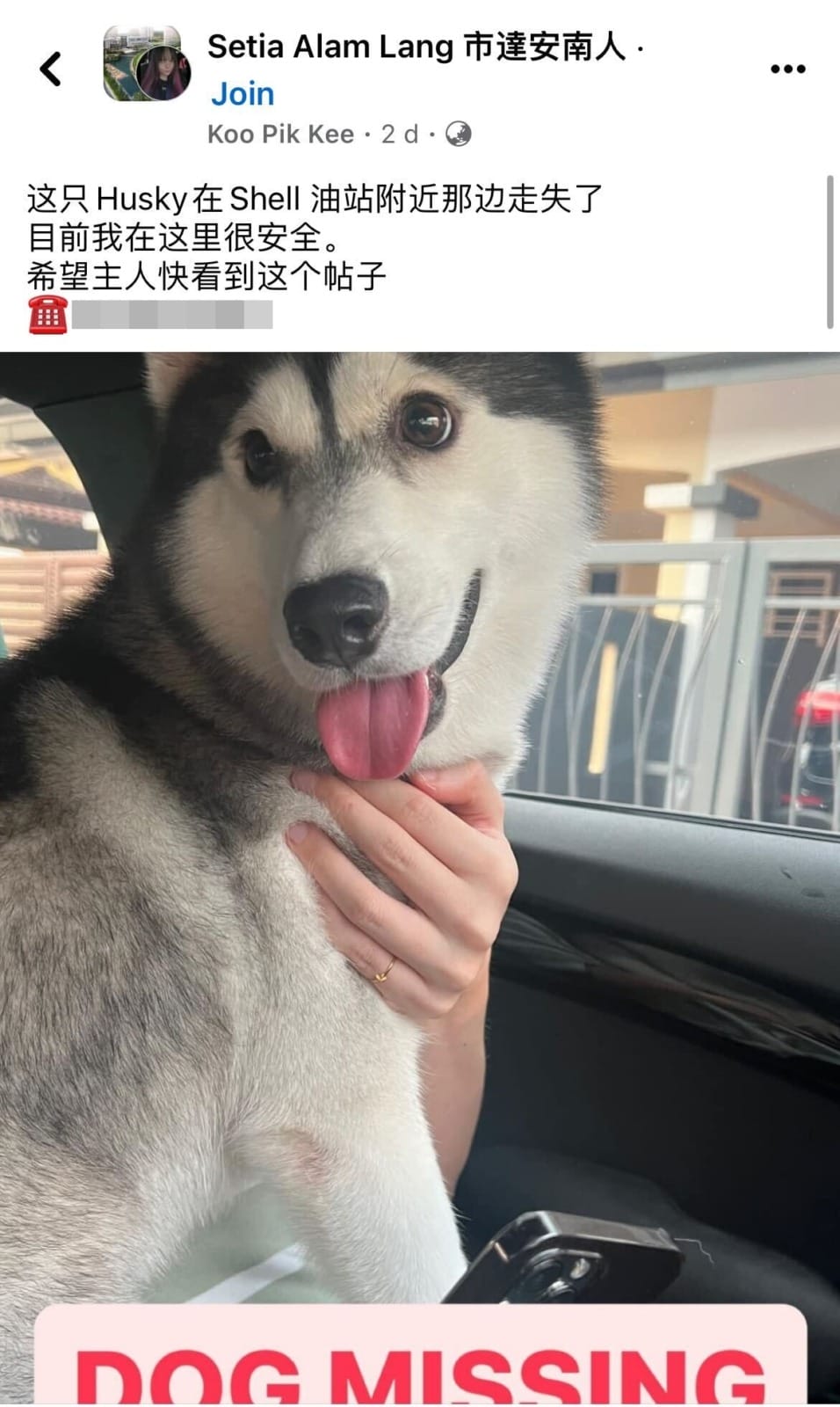Husky Lost and Found Facebook 1